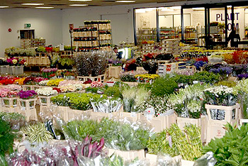 Wholesale flowers.