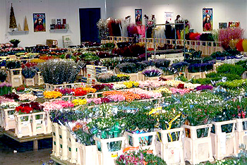 Wholesale flowers.