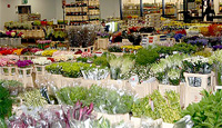 wholesale flowers